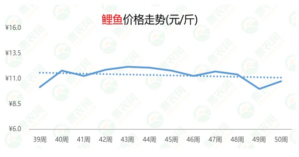 苟琬琰